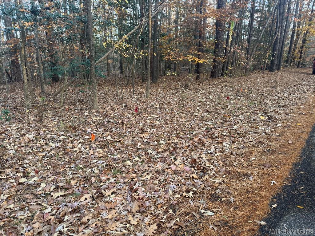 Lot 64 Windward Passage Property Photo 22