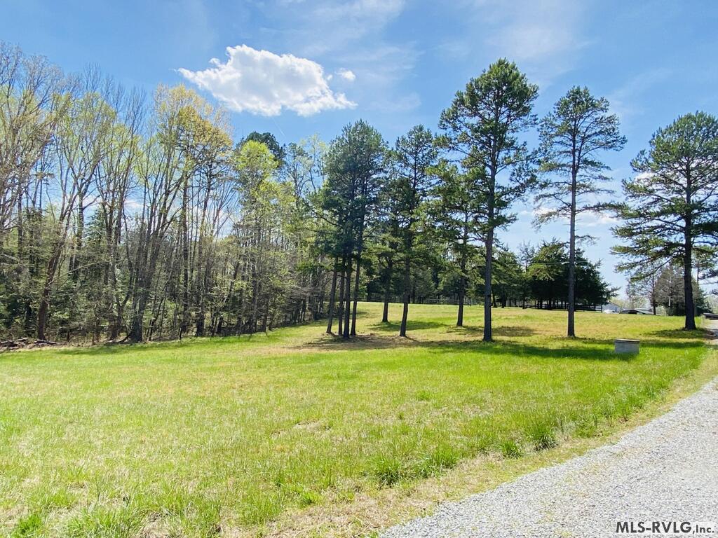 427 Muscadine Trail Property Photo 9