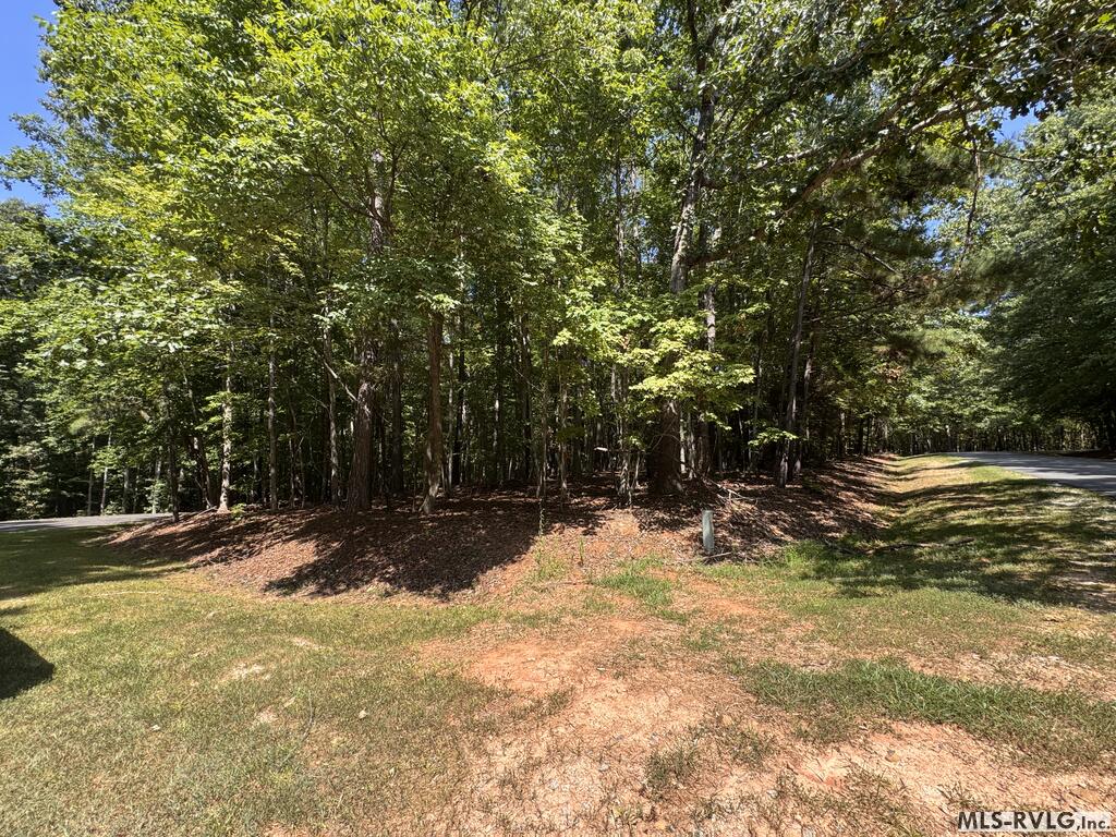 Tbd Buck Springs Rd Property Photo 2