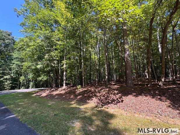 Tbd Buck Springs Rd Property Photo 7