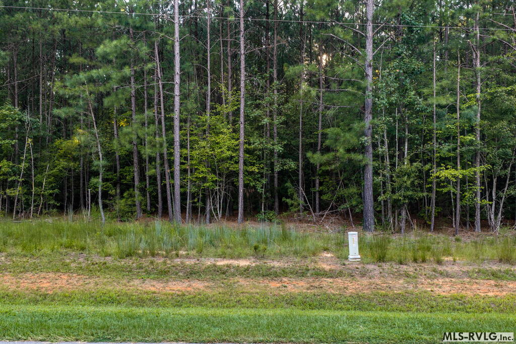 3376 Birdsong Rd Property Photo 5