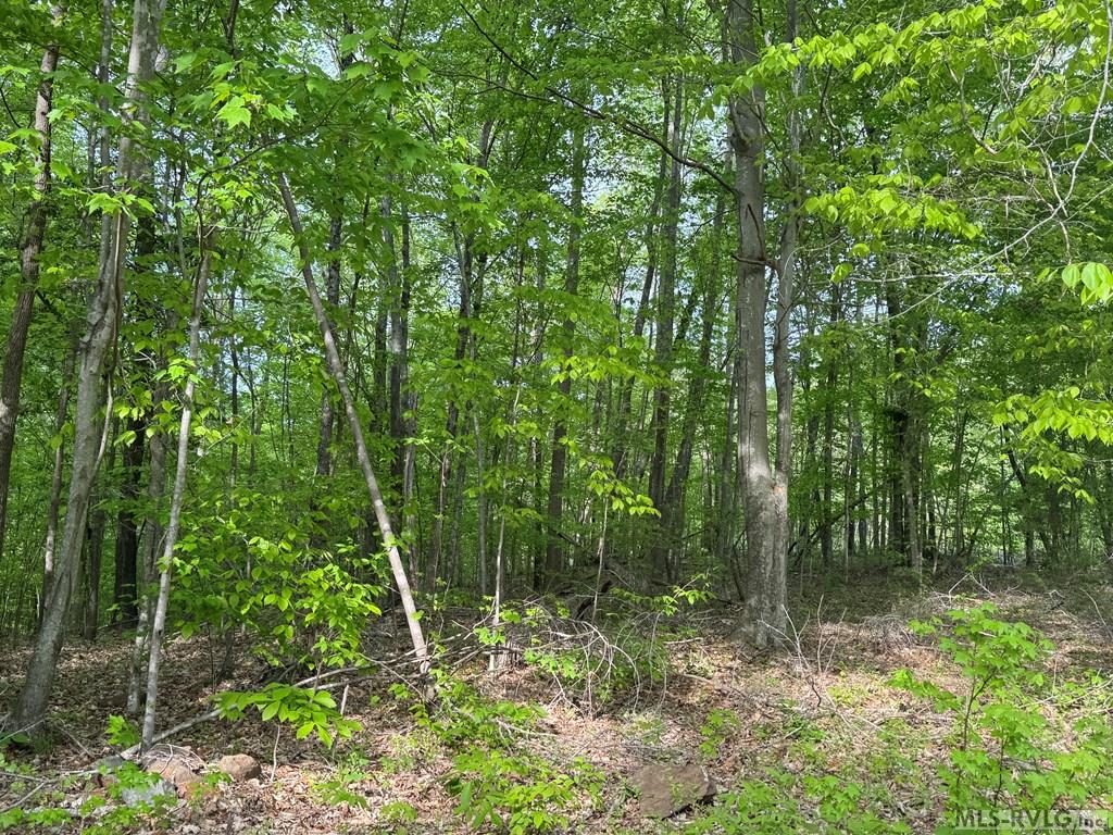 142882 Property Photo 17