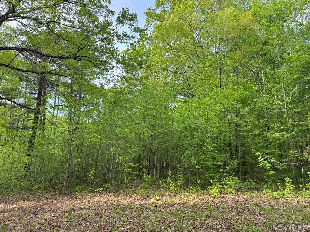 142882 Property Photo 31