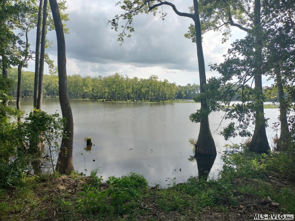 N/a Bellamy Lake Road Property Photo 1