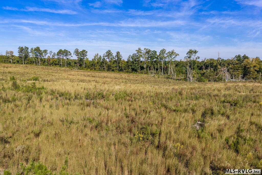 1318 Poor House Road Property Photo 44