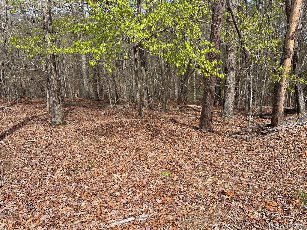6r Hillcrest Ln Property Photo 4