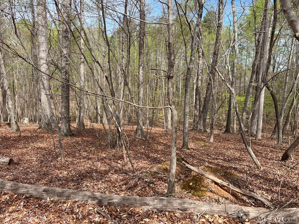 6r Hillcrest Ln Property Photo 6