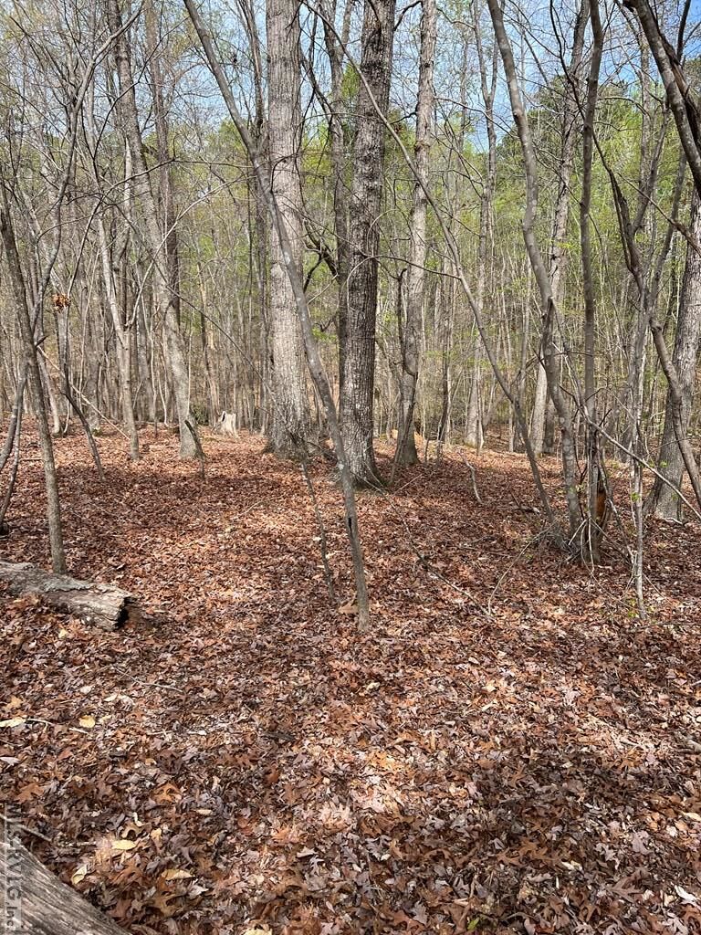 6r Hillcrest Ln Property Photo 7