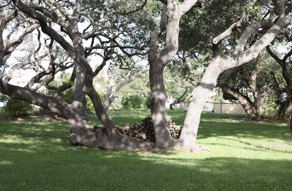 9 Bahama Property Photo 1