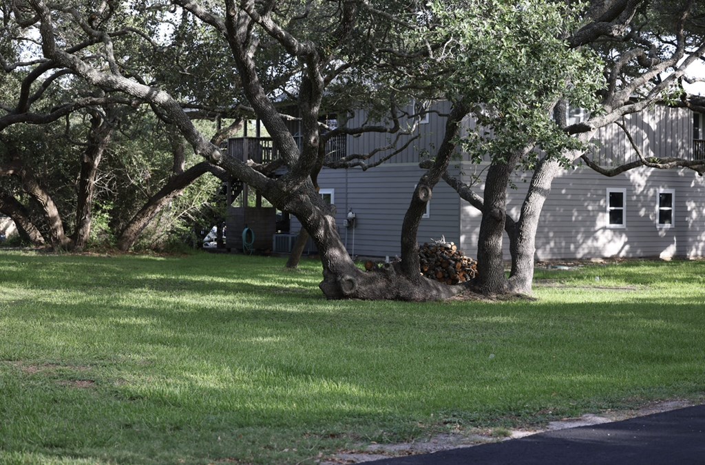 9 Bahama Property Photo 2