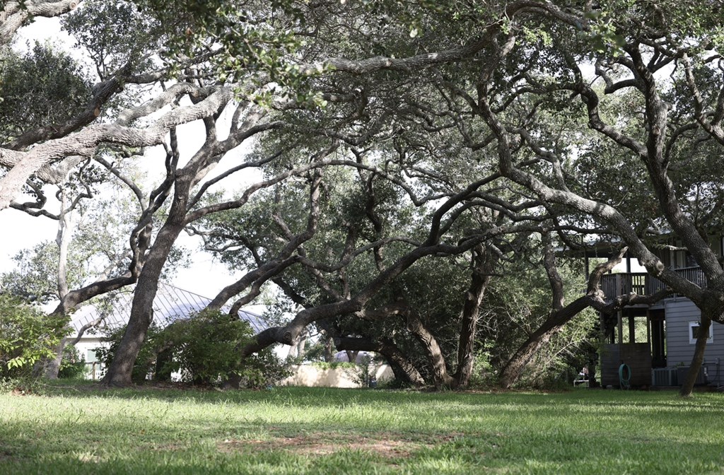 9 Bahama Property Photo 3