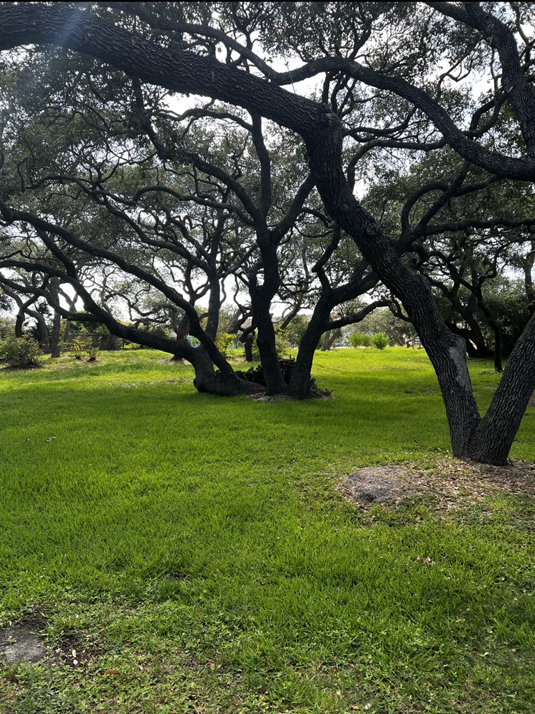 9 Bahama Property Photo 15
