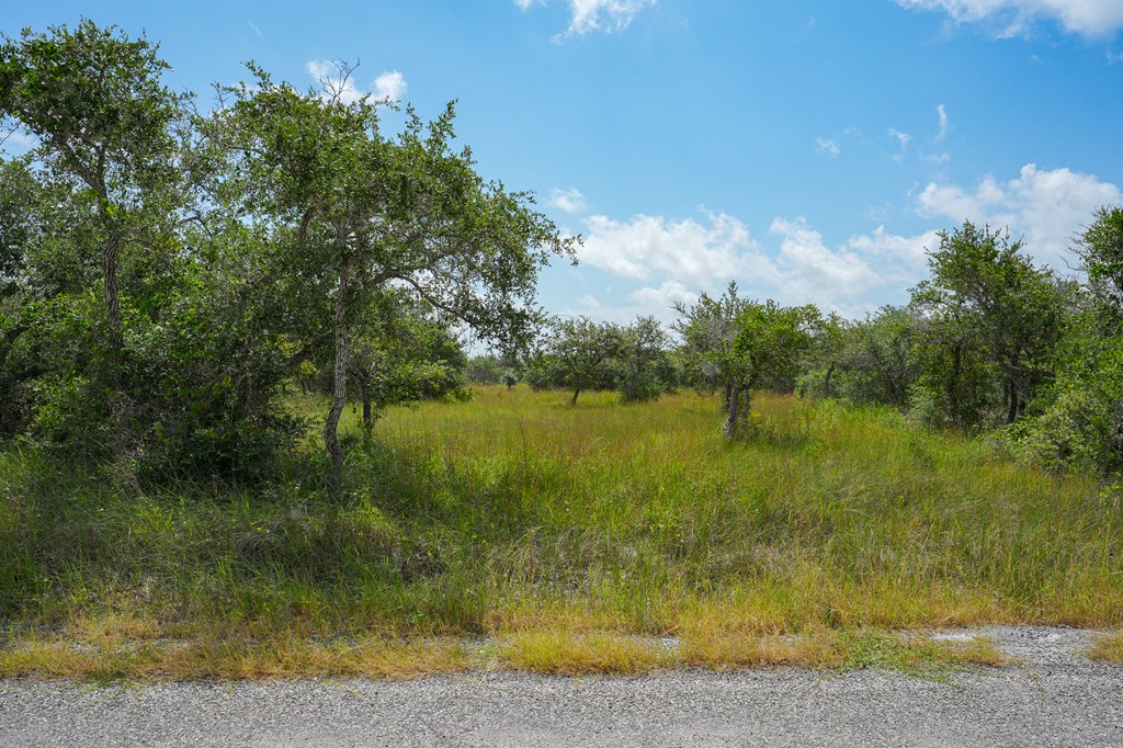 814 Holly Rd Property Photo 2