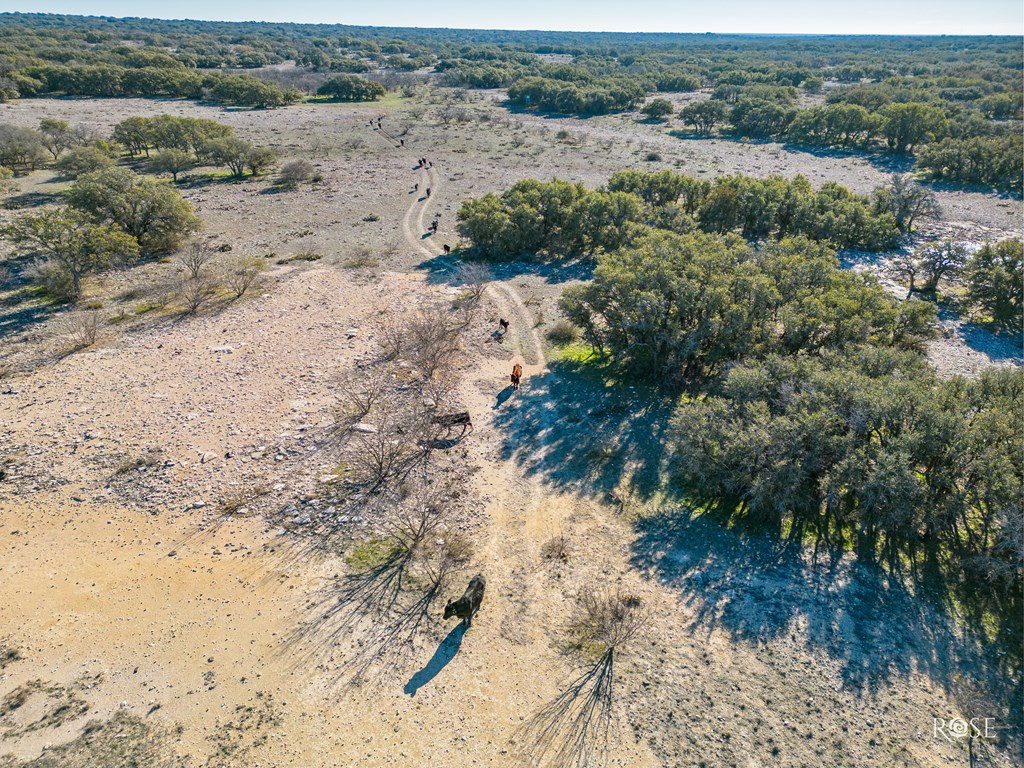 6199 Ranch Rd 864 Property Photo 7