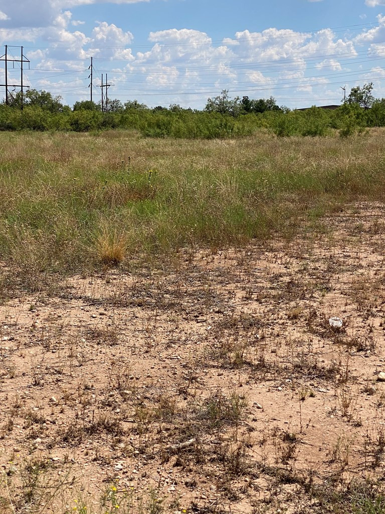 4557 Petro Drive Property Photo 9