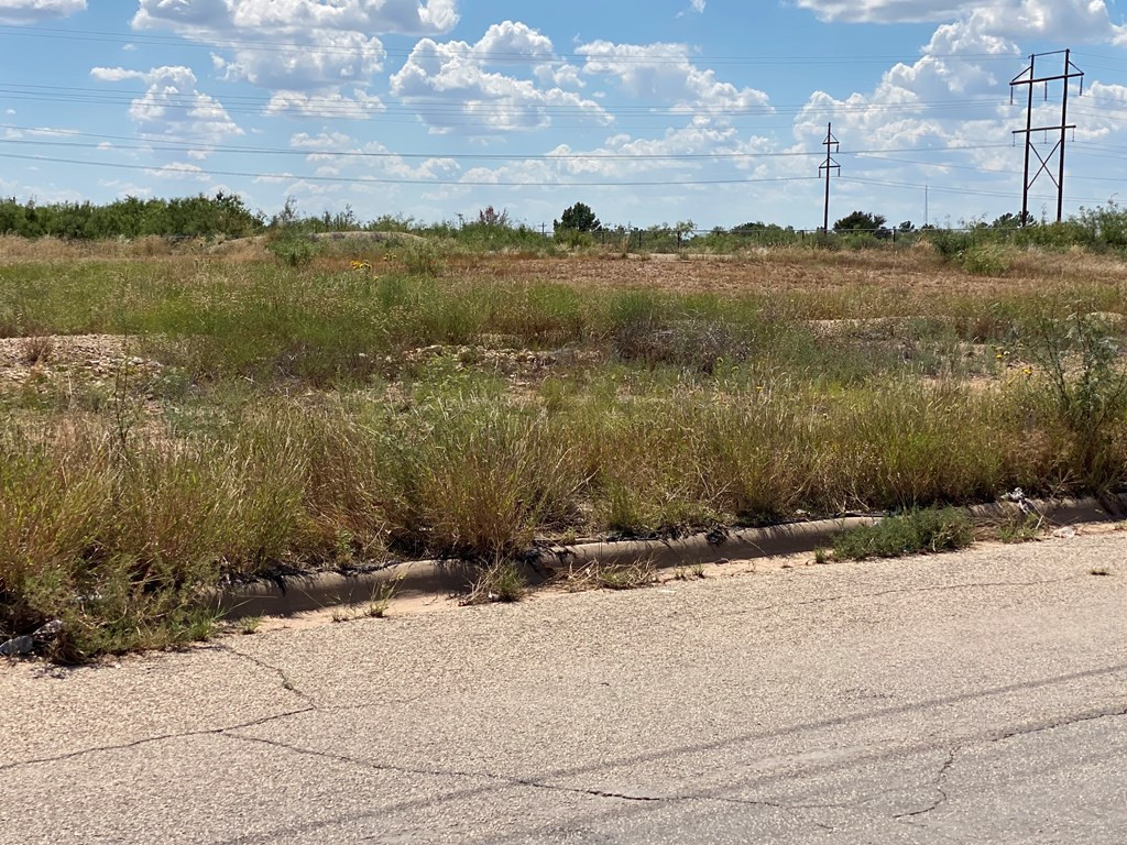 4557 Petro Drive Property Photo 10