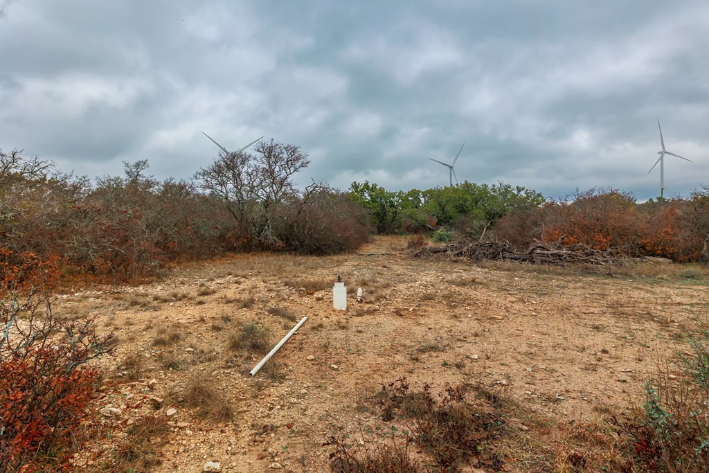 1755 County Rd 1520 Property Photo 11