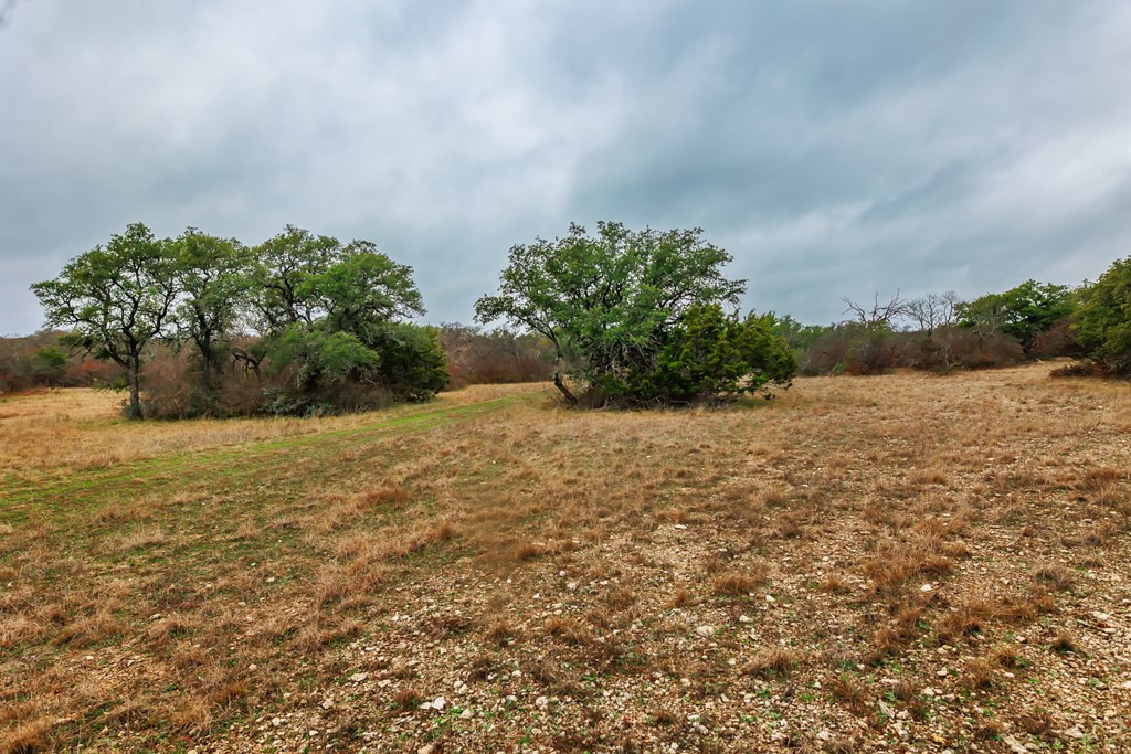 1755 County Rd 1520 Property Photo 14
