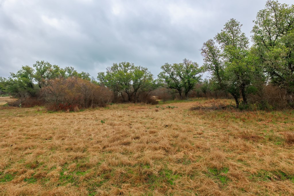 1755 County Rd 1520 Property Photo 17
