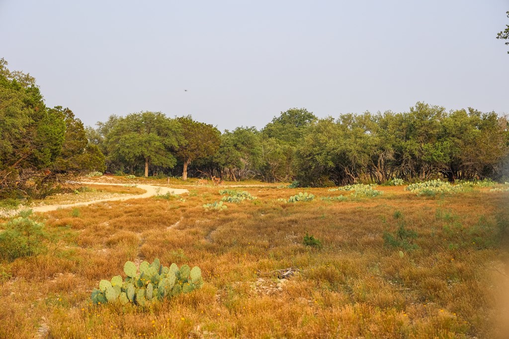 N/a County Rd 102 Property Photo 60