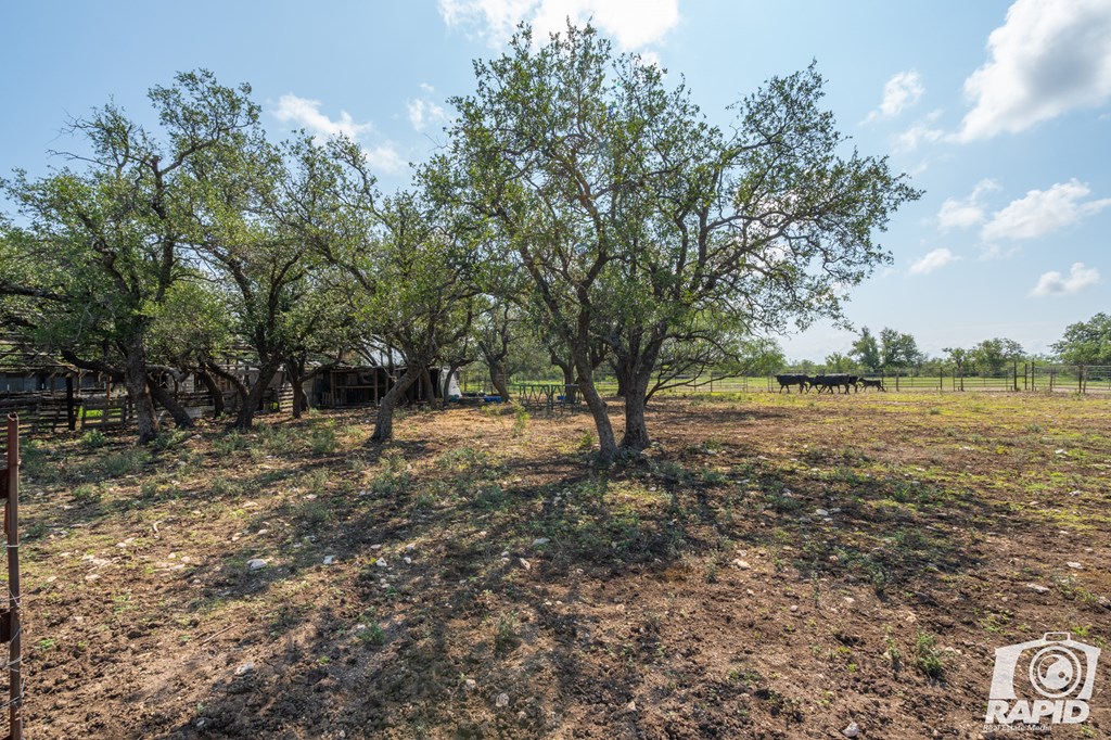 9286 County Road 2335 Property Photo 43