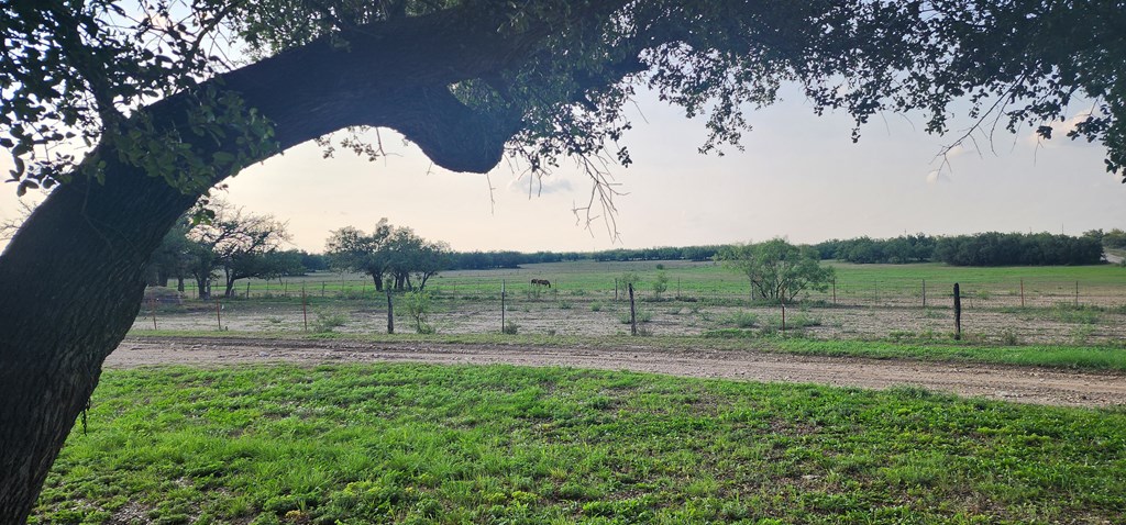 9286 County Road 2335 Property Photo 51