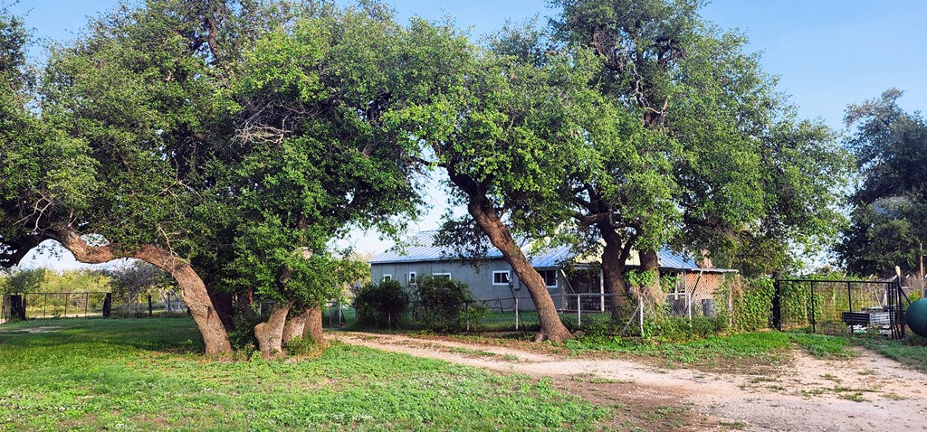 9286 County Road 2335 Property Photo 53