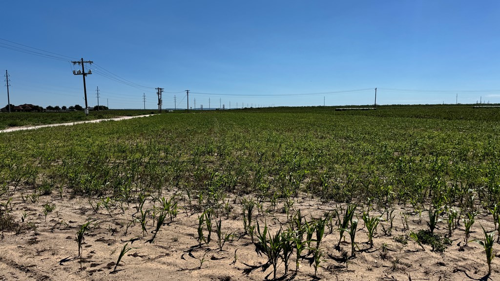 8241 S Ratliff Rd Property Photo 16