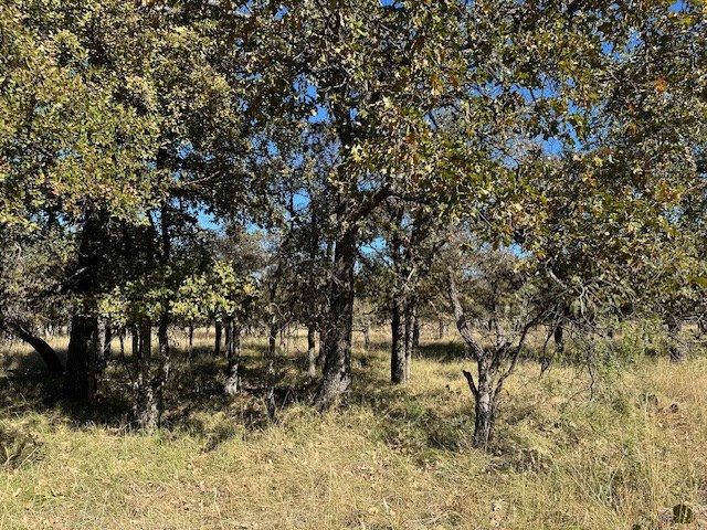 0 Other Property Photo 3