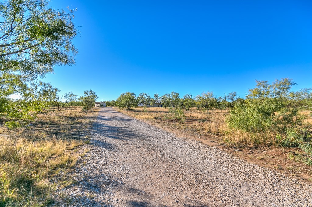 10629 Twin Lakes Lane Property Photo 31