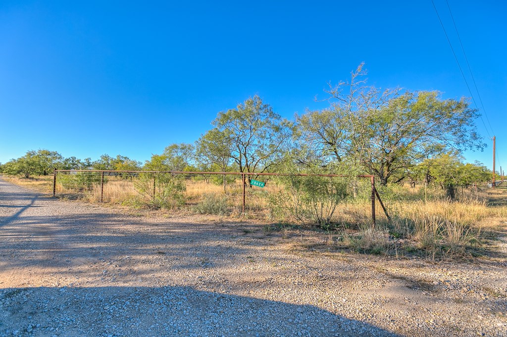 10629 Twin Lakes Lane Property Photo 33