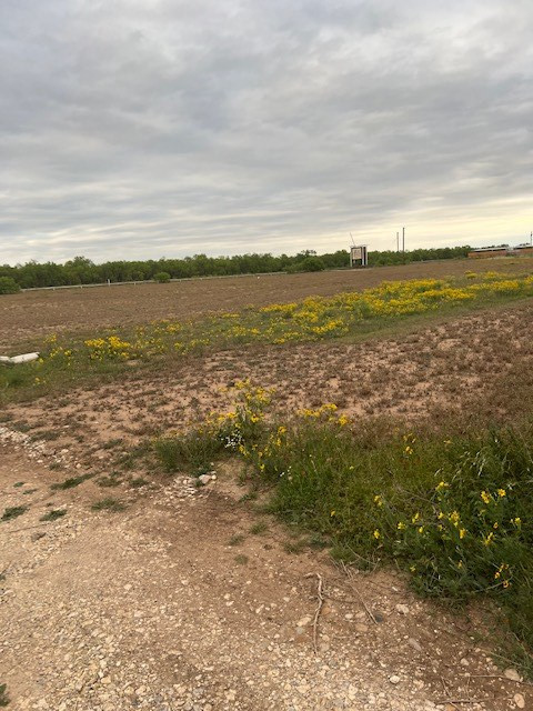 3613 S Fm2105 Property Photo 2