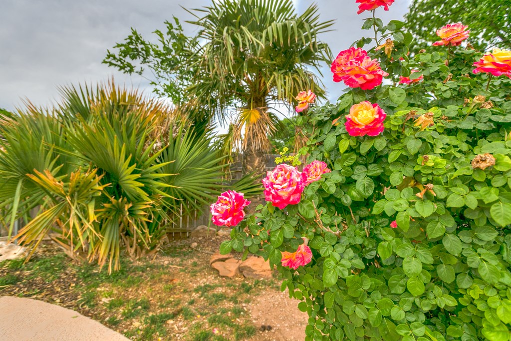 5014 Green Valley Trail Property Photo 29