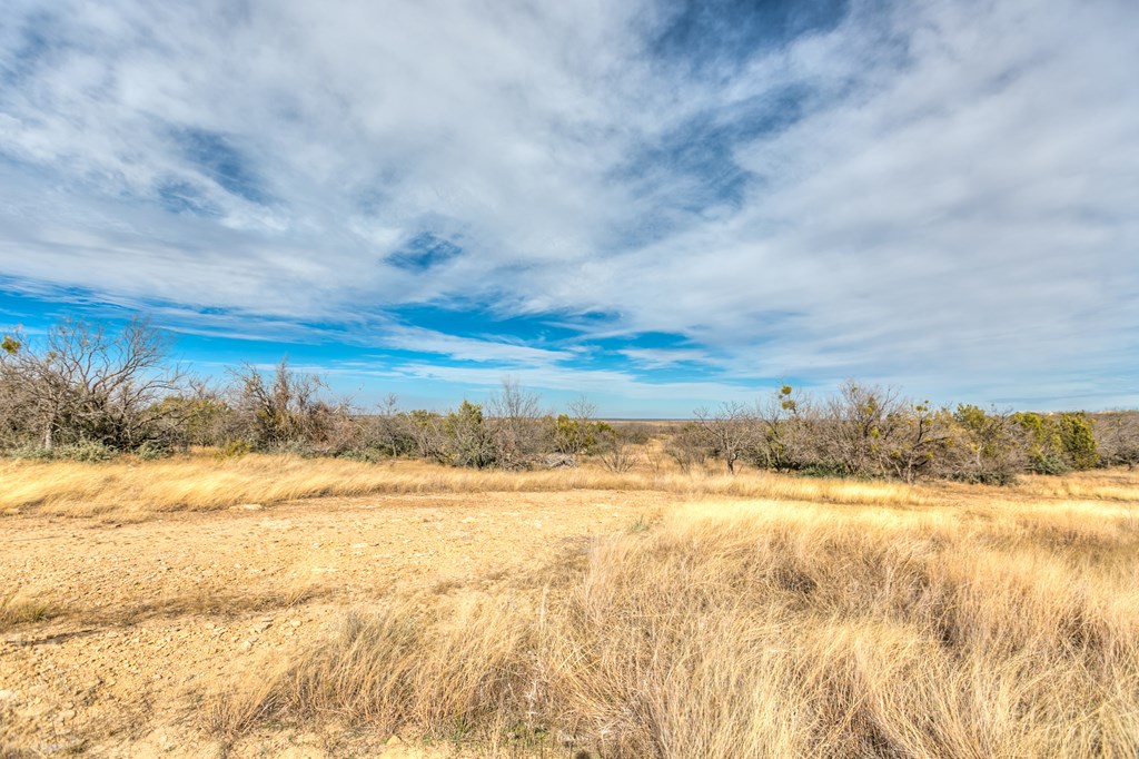 15016 Fm 1929 Property Photo 39