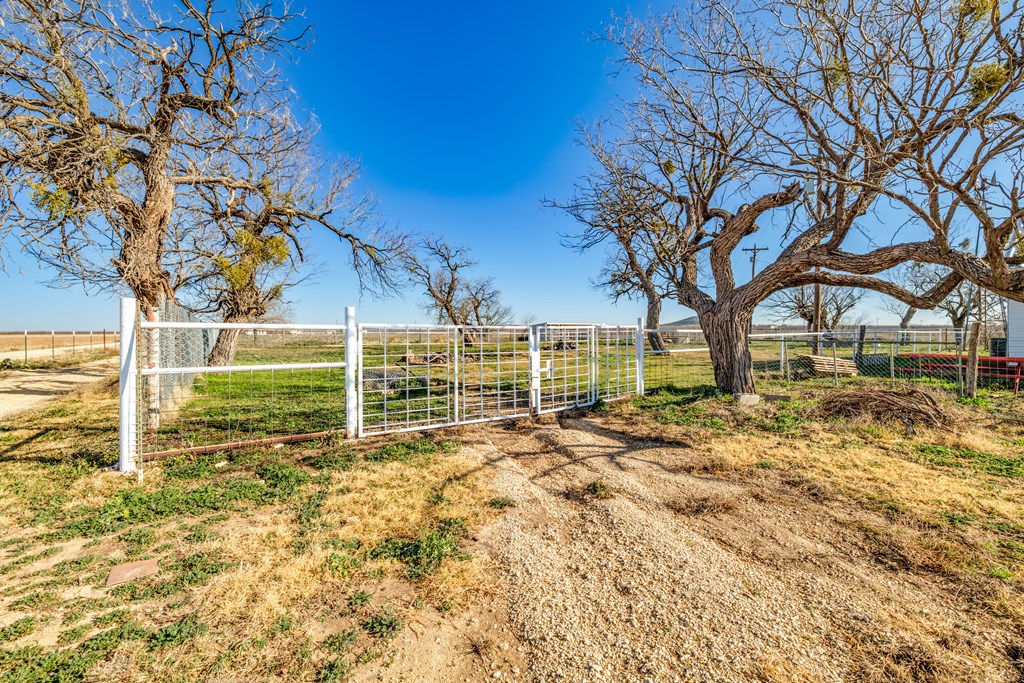 8458 W Grape Creek Rd Property Photo 34