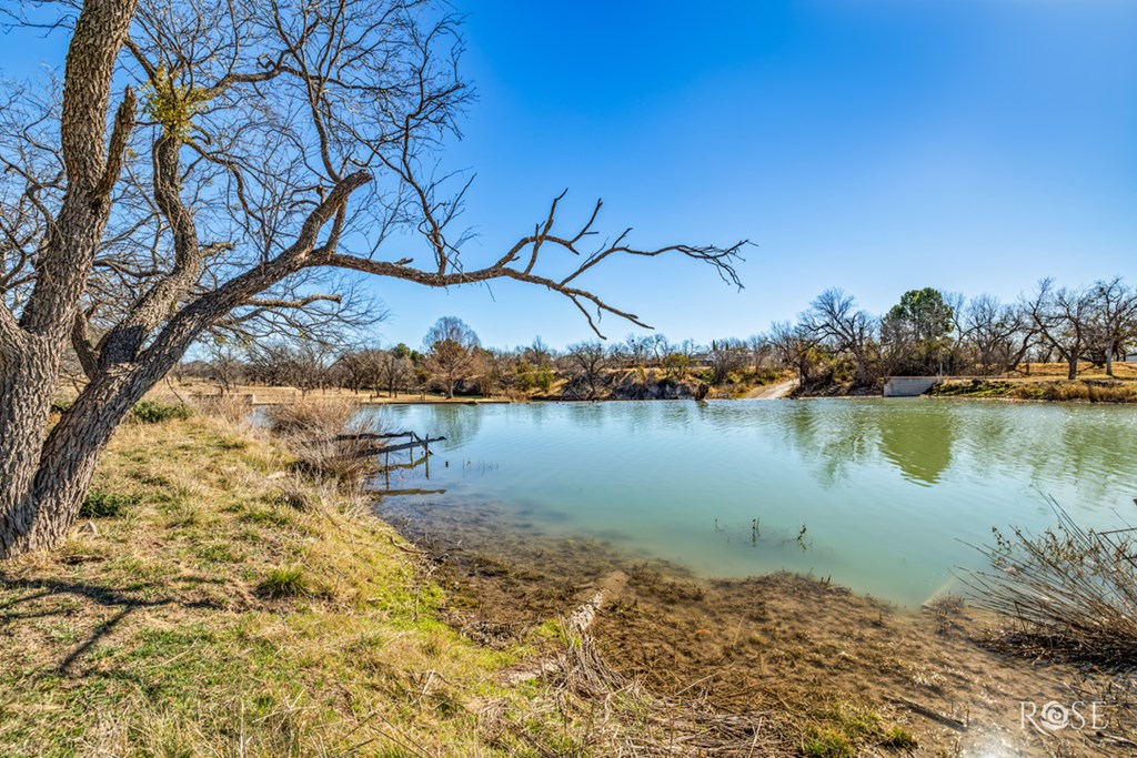 12315 Dove Creek Lane West Property Photo 12