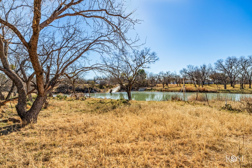12315 Dove Creek Lane West Property Photo 13