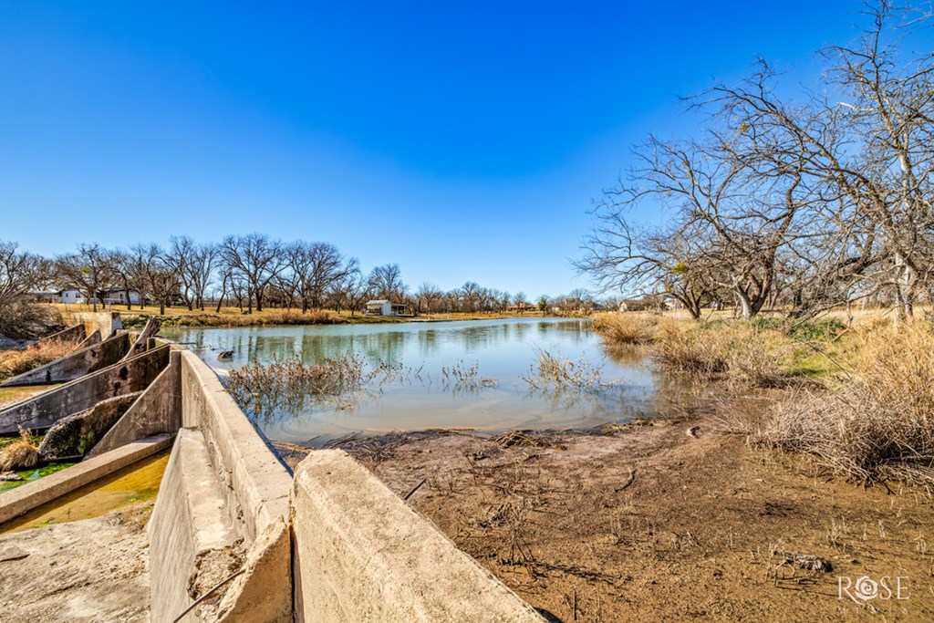 12315 Dove Creek Lane West Property Photo 15