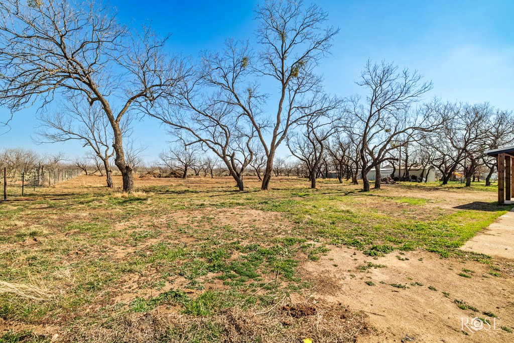 10746 Caribou Trail Property Photo 24