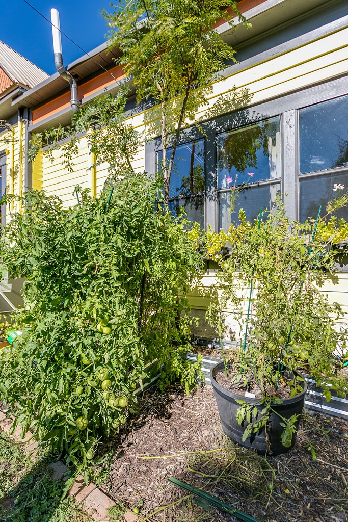 1009 8th St Property Photo 42
