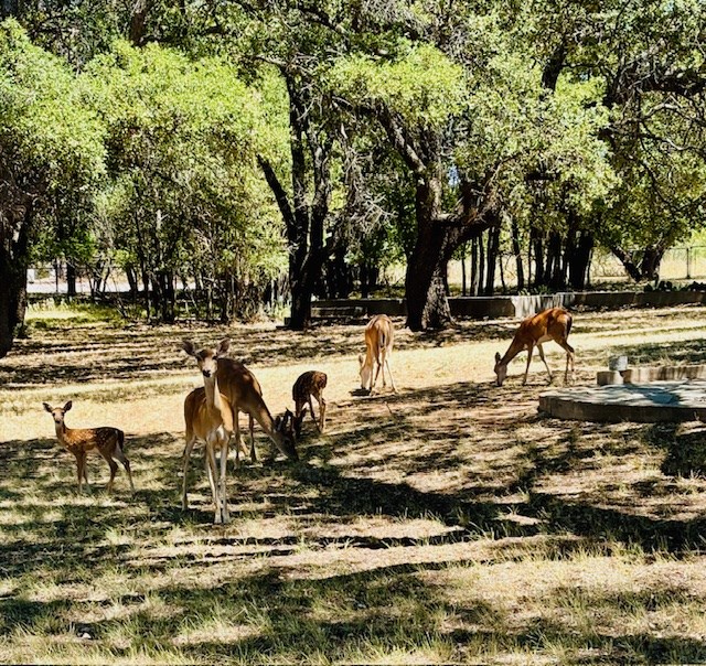 228 Wheat Circle Property Photo 41
