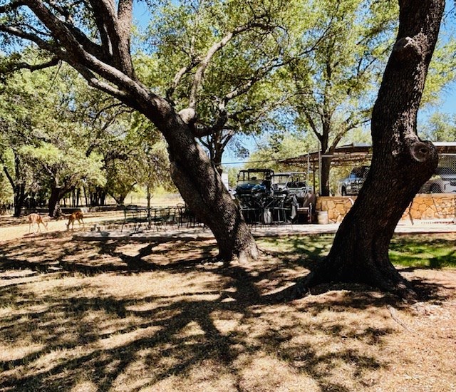 228 Wheat Circle Property Photo 42