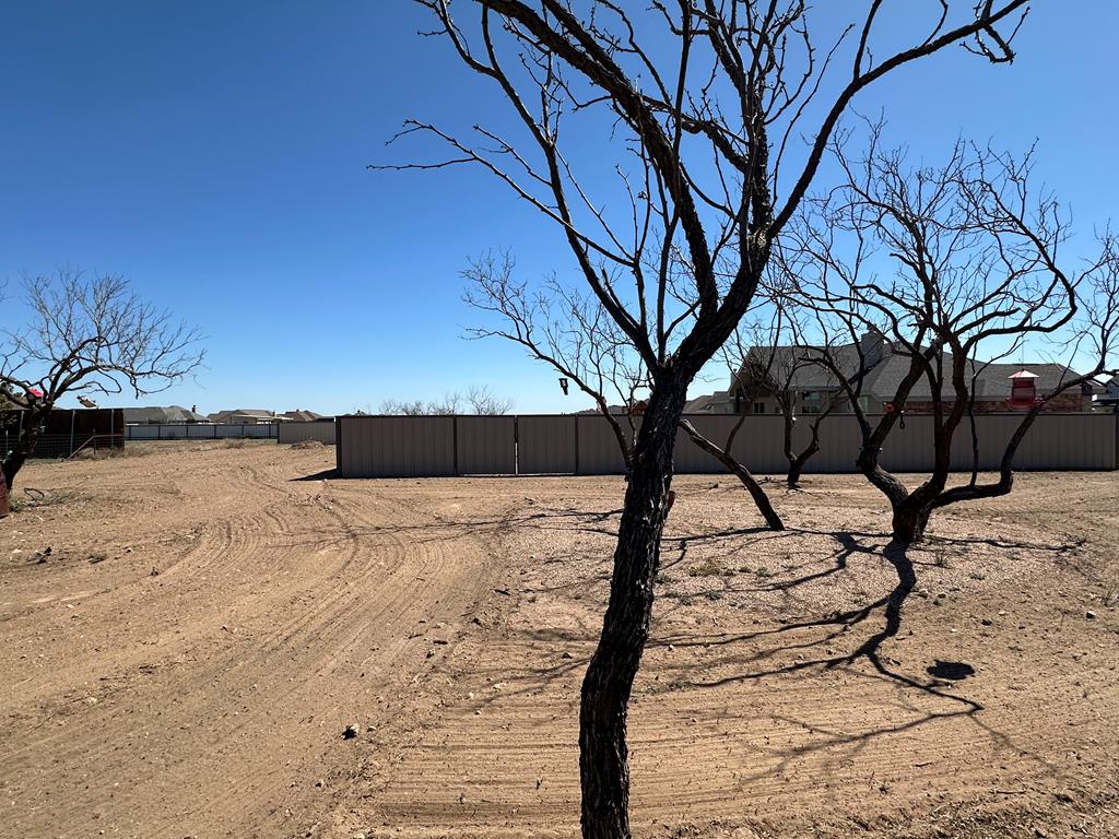 9092 Chital Court Property Photo 31