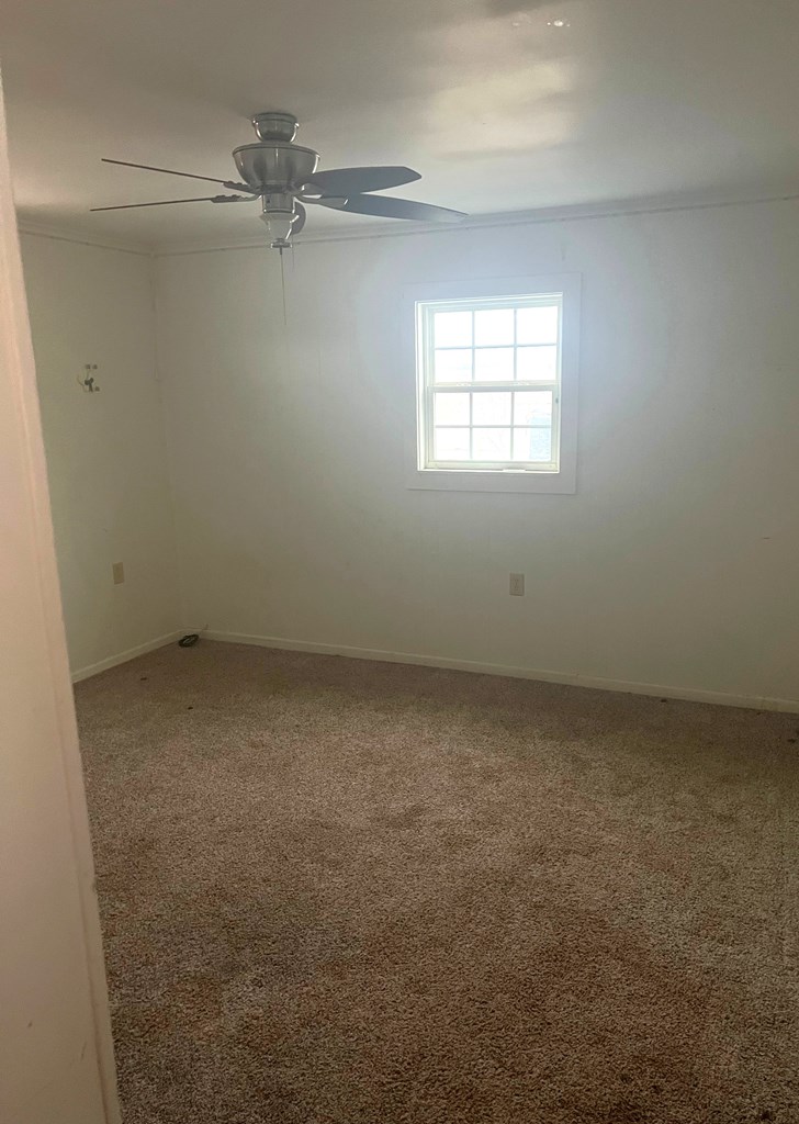 1302 Kilborn Property Photo 5