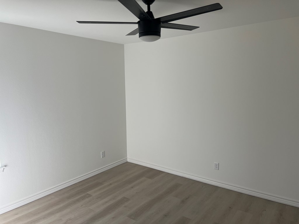 3907 Blum St Property Photo 5