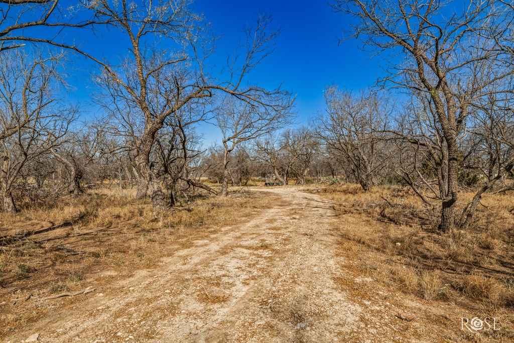 11909 E Dove Creek East Lane Property Photo 55