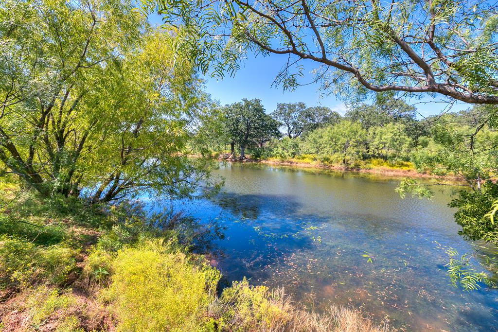 Coleman Real Estate Listings Main Image