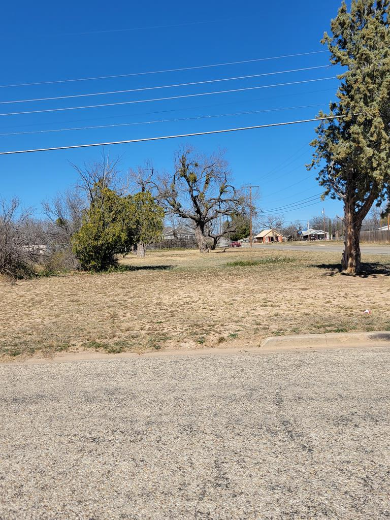 1230 Culberson St 16 Property Photo