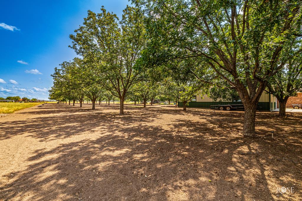 3721 Blumentritt Rd Property Photo 38