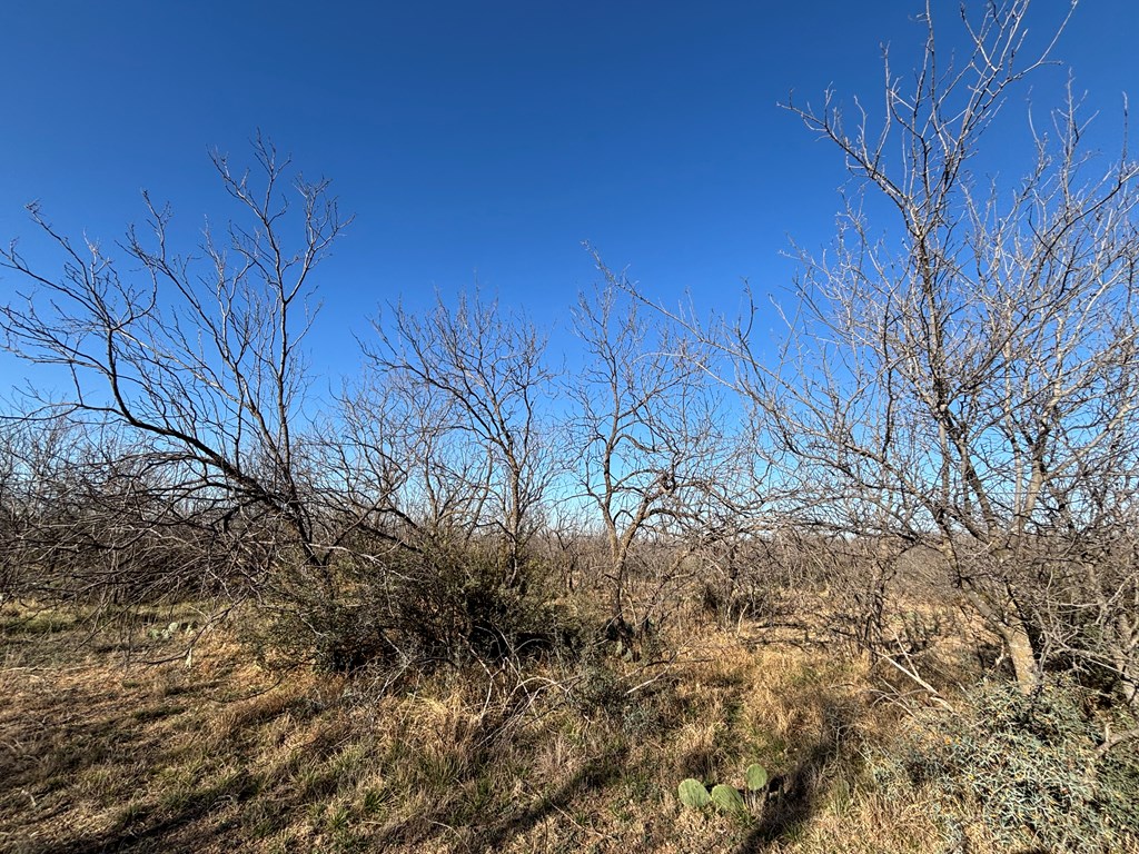 Tbd W Concord Loop St Property Photo 3